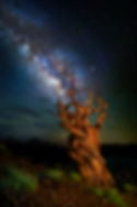 0093 Reach for the Stars
