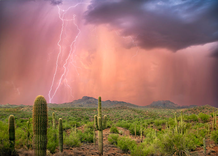 3454 Arizona Monsoon