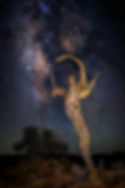 8853 Desert Angel