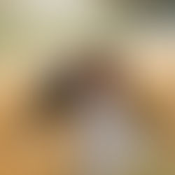 Belle Martin Photography