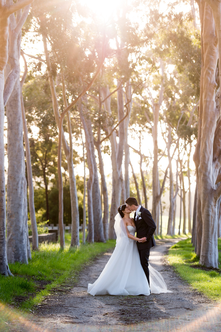 Mark Avellino Photography