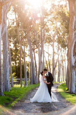 Mark Avellino Photography - How to select a Photographer?