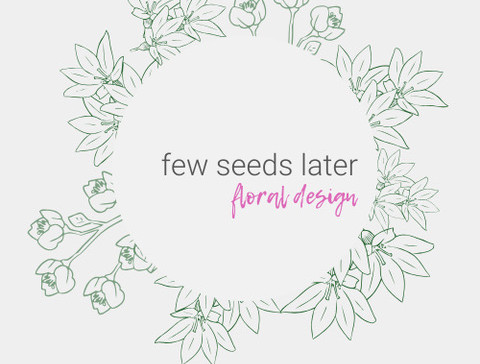 A Few Seeds Later