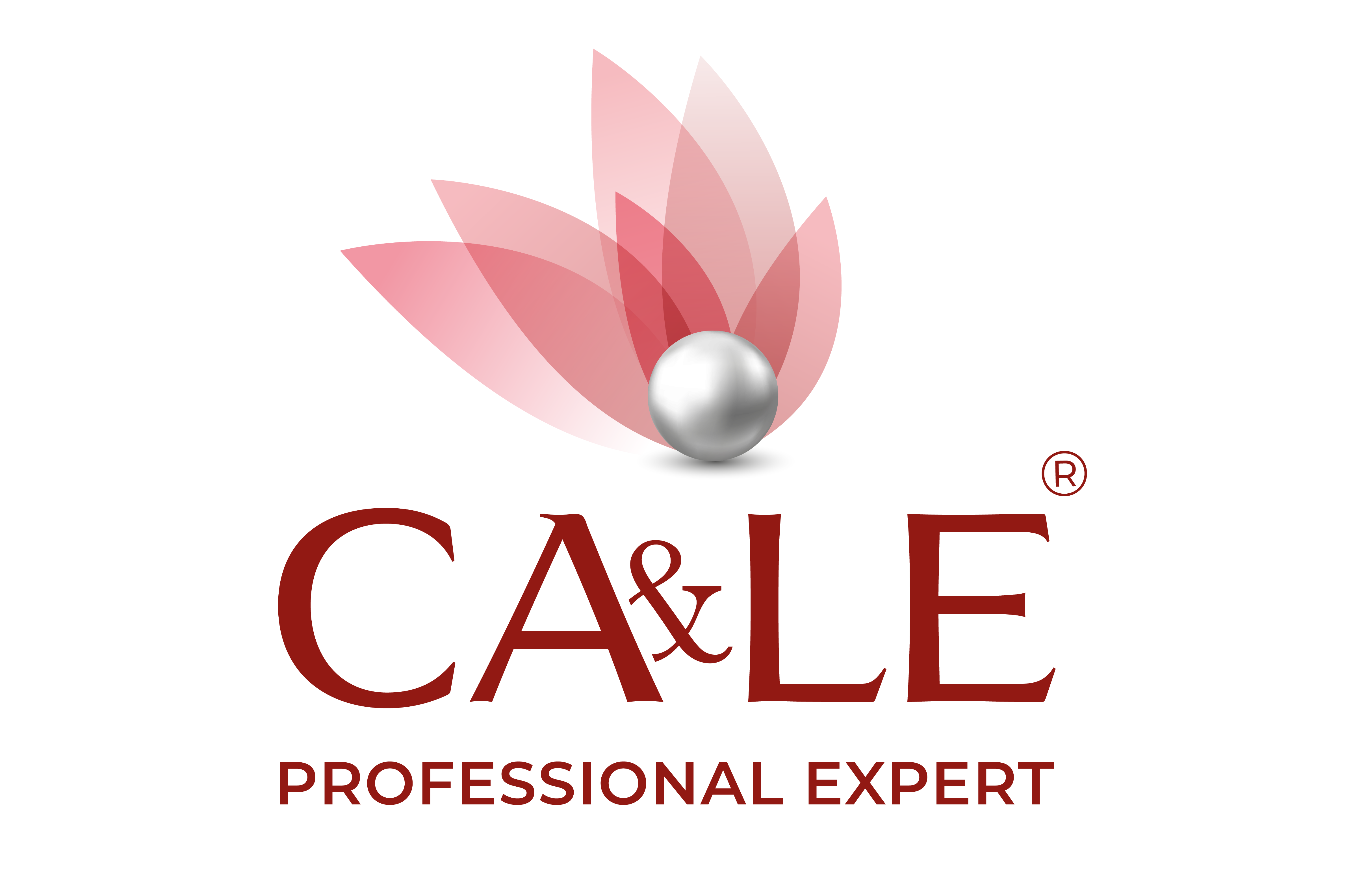 CA&LE Professional Expert