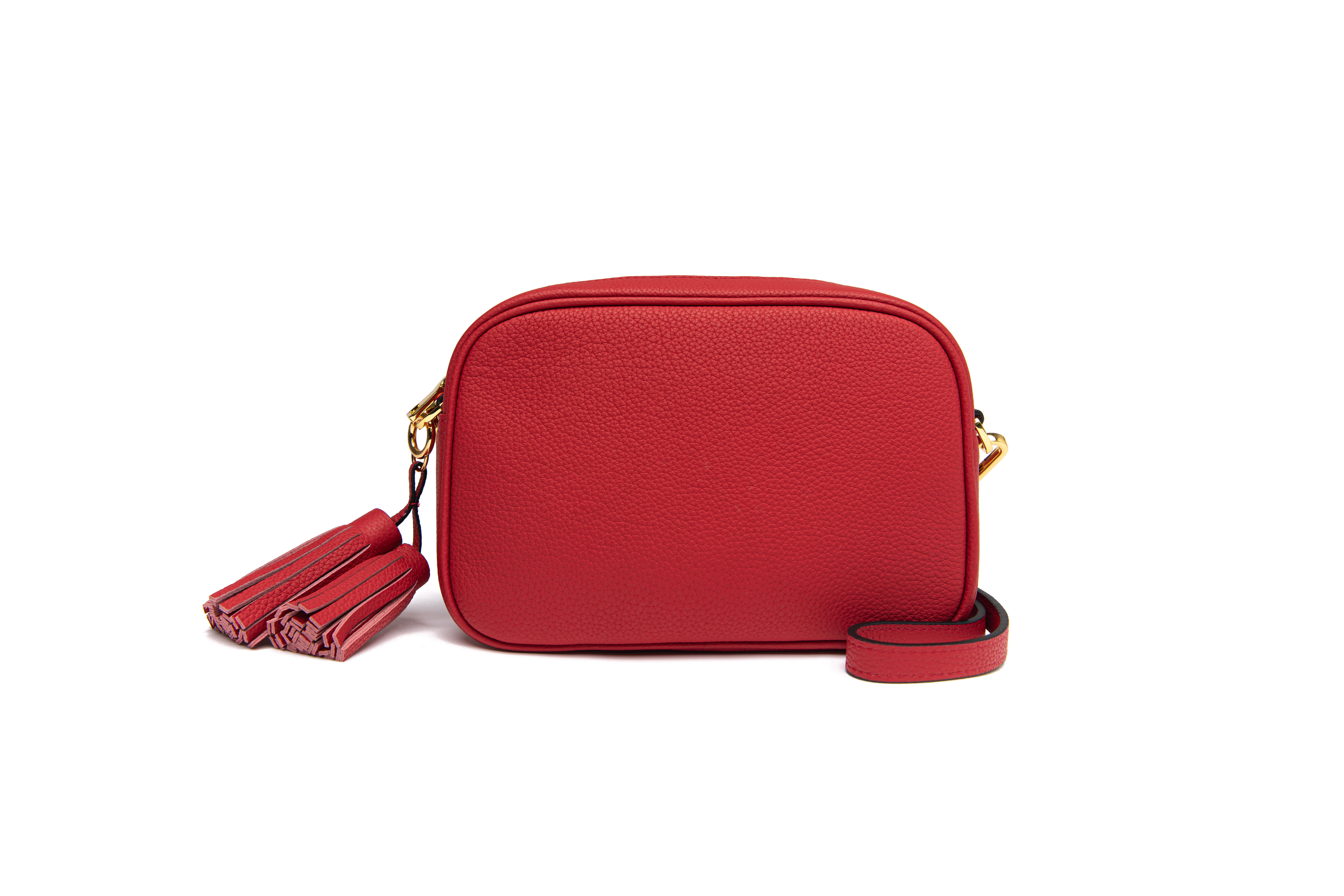 Genuine Leather Crossbody Camera Handbag, Detachable Tassel Key Ring - Series 1