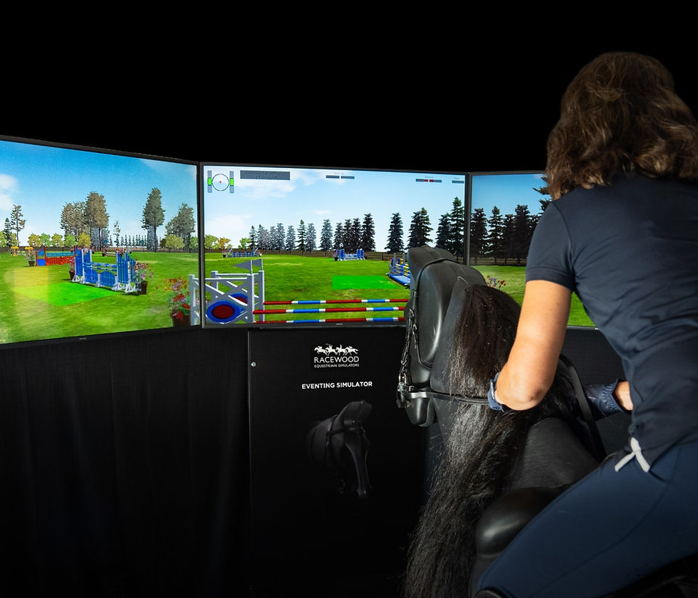 Springtraining und Dressurtraining auf dem Eventing Reitsimulator CH Schweiz reitsimulator.training Eliane Künzle