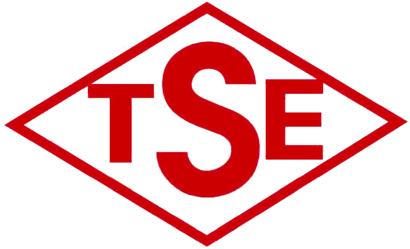 TSE Logo