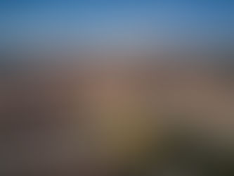 Precios de la vivienda: ¿Inmunes al coronavirus?