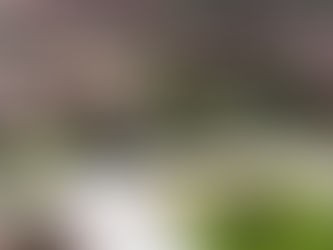 Desventajas que tendrÃa proyecto para discapacitados en Cundinamarca