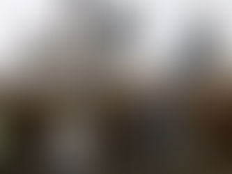 Cuatro de 12 actividades crecieron en medio de crisis de covid en 2020