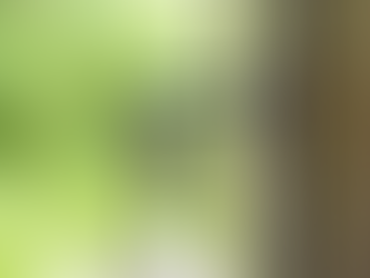 Vivienda de calidad, la prioridad de los colombianos