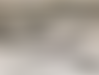 The Great Blizzard Of 1978 | PMF #31