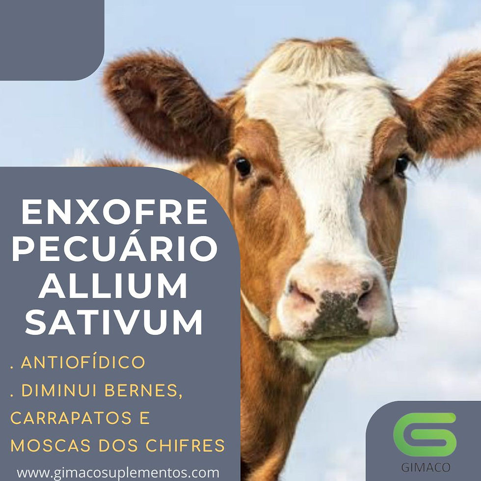 Enxofre Allium Sativum