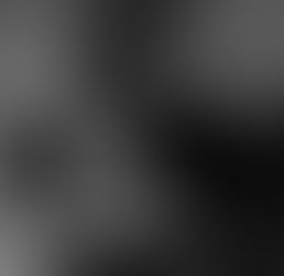 ZENSOR Working Outside the Comfort Zone