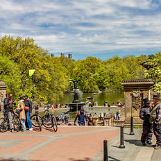 Central Park NYC Bathesda