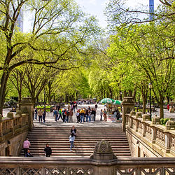 Central Park NYC