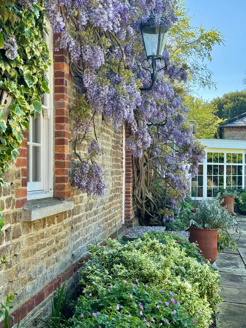 The Courtyard Garden
The Coach House Photoshoot Location
