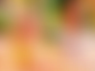 Śrī Śrīmad Bhakti Vilāsa Gabhastinemi Gosvāmī Mahārāja