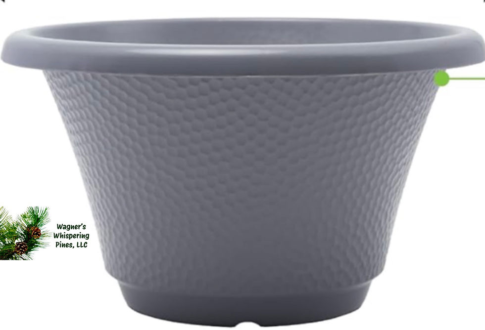 Thumbnail: Handcrafted Customized Porch Pots