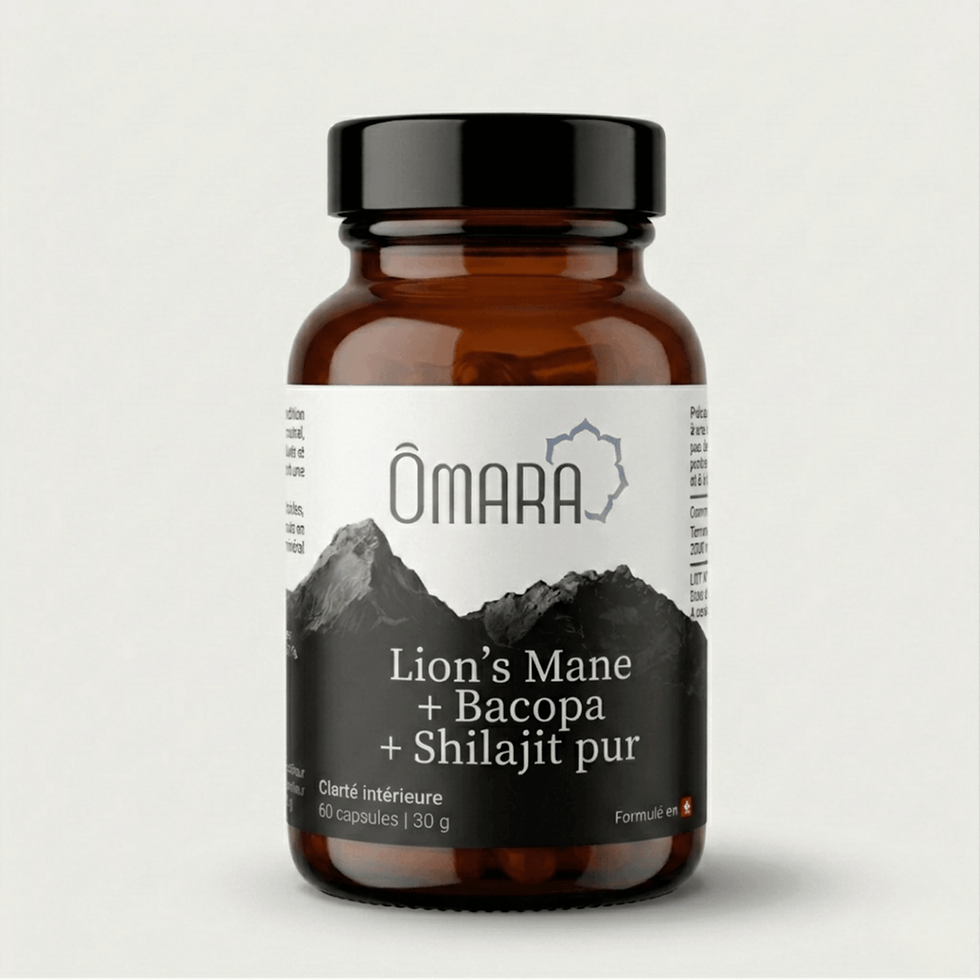 Synergie comprenant bacopa, lion's mane et shilajit pur pour la concentration et la mémorisation