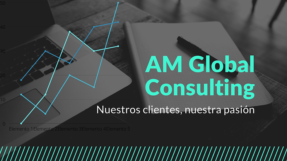 AM Global Consulting