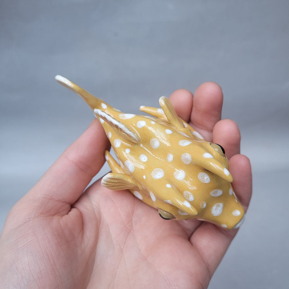 Thumbnail: Longhorn Cowfish (RESERVED FOR ELLIE)