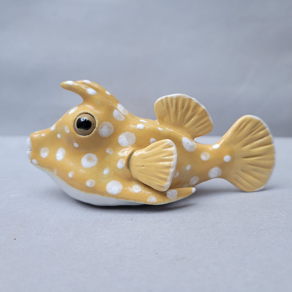 Thumbnail: Longhorn Cowfish (RESERVED FOR ELLIE)
