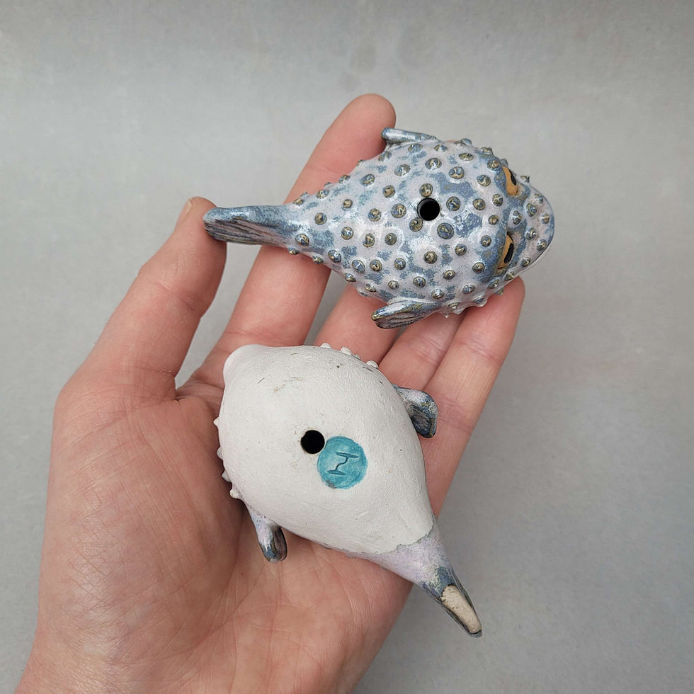 Thumbnail: Light Pull Sea Urchin/Puffer Fish