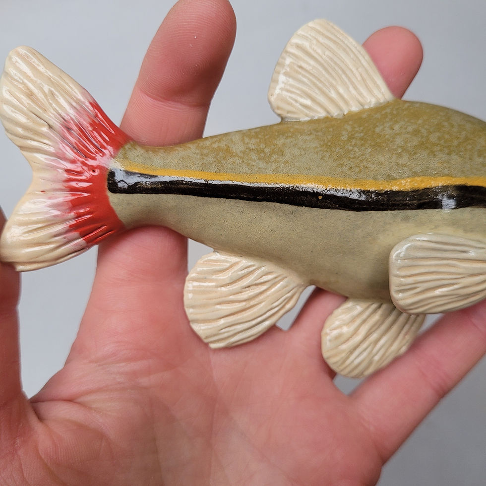Thumbnail: Wall Hanging Fish Pre-Order