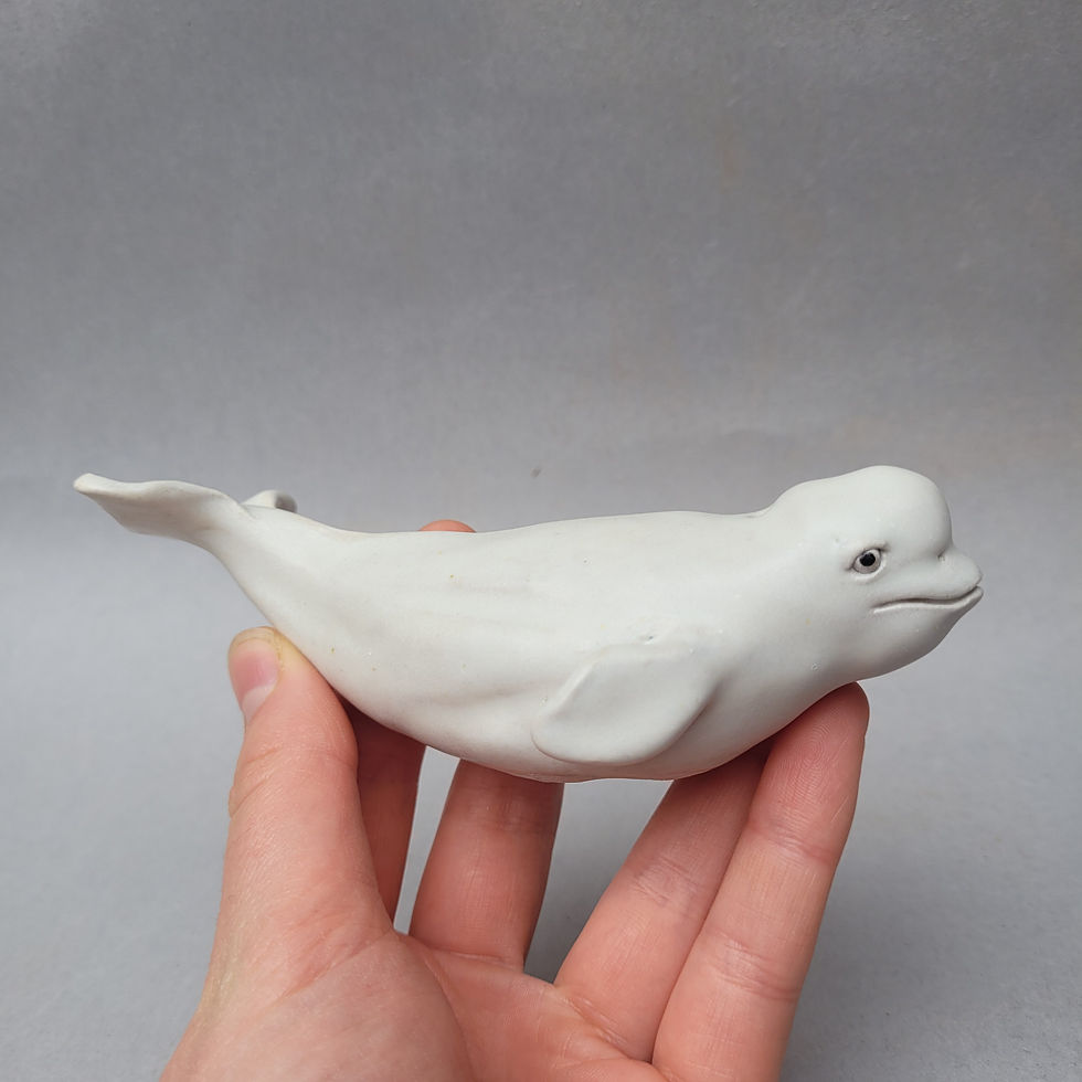 Thumbnail: Beluga Whale Pre-Order