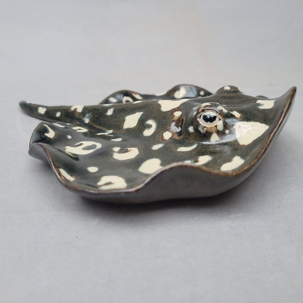 Thumbnail: Xingu River Ray 75% pre order (RESERVED FOR DONALD)