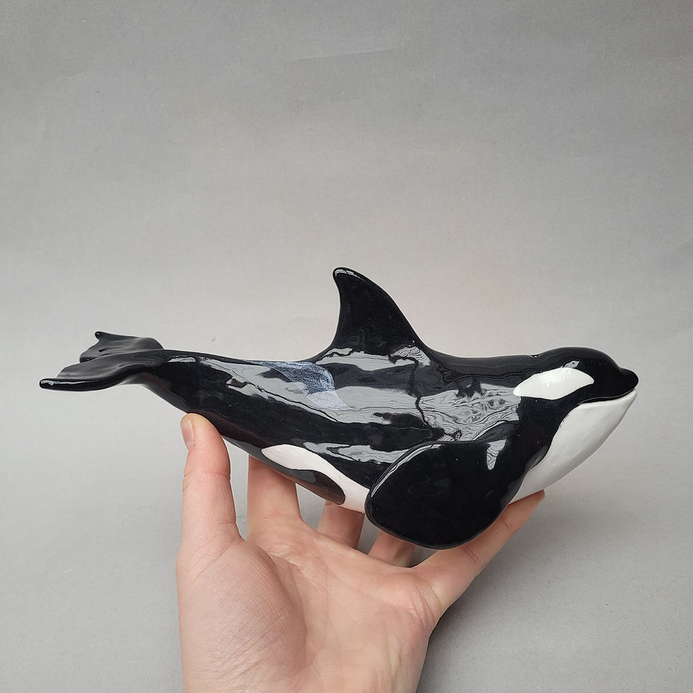 Thumbnail: Orca/Killer Whale Pre-Order