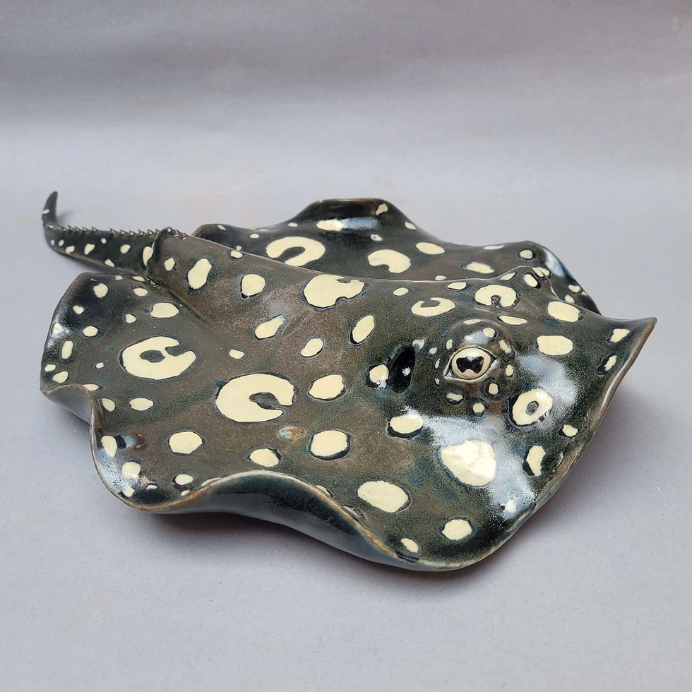 Thumbnail: Xingu River Ray Ceramic