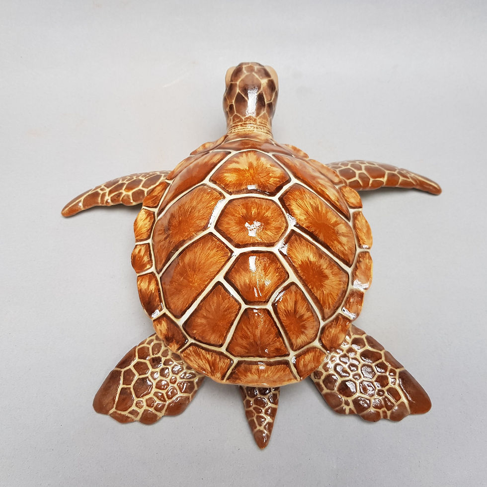 Thumbnail: Turtle Pre-Order