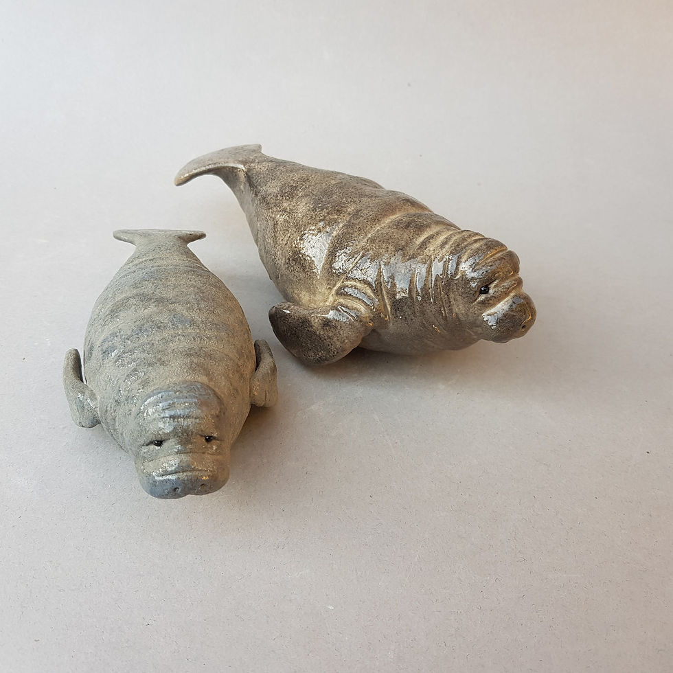 Thumbnail: Manatee Pre-Order
