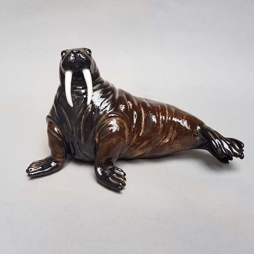 Thumbnail: Walrus Pre-Order