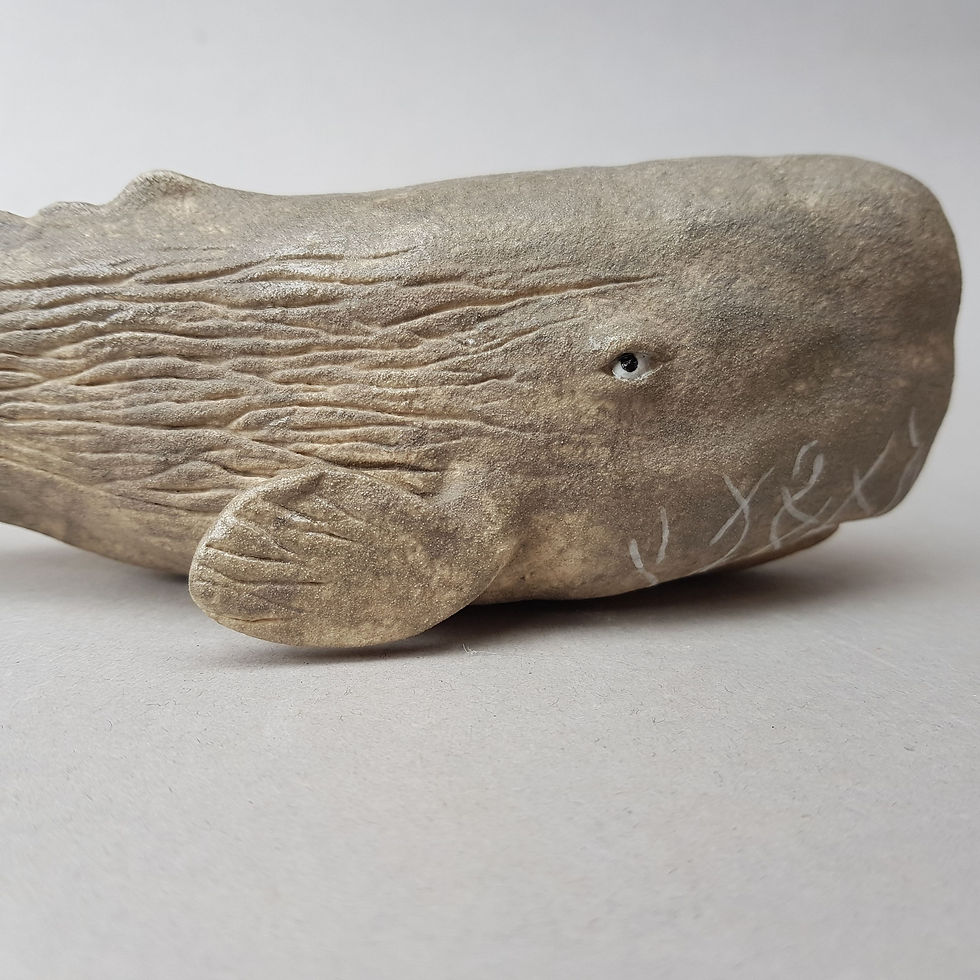Thumbnail: Sperm Whale Pre-Order