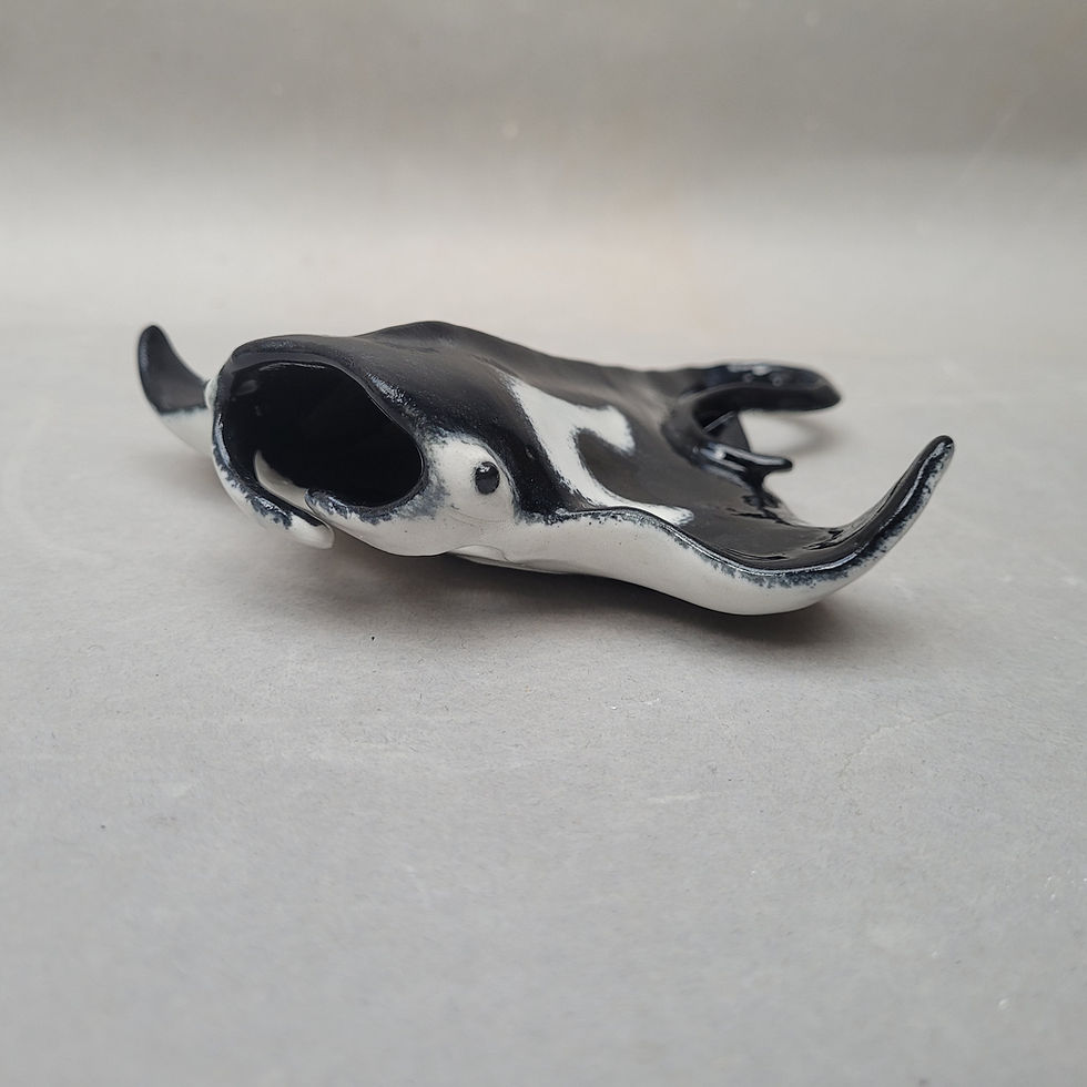 Thumbnail: Manta Ray pre-order 75% (RESERVED FOR CHRIS)