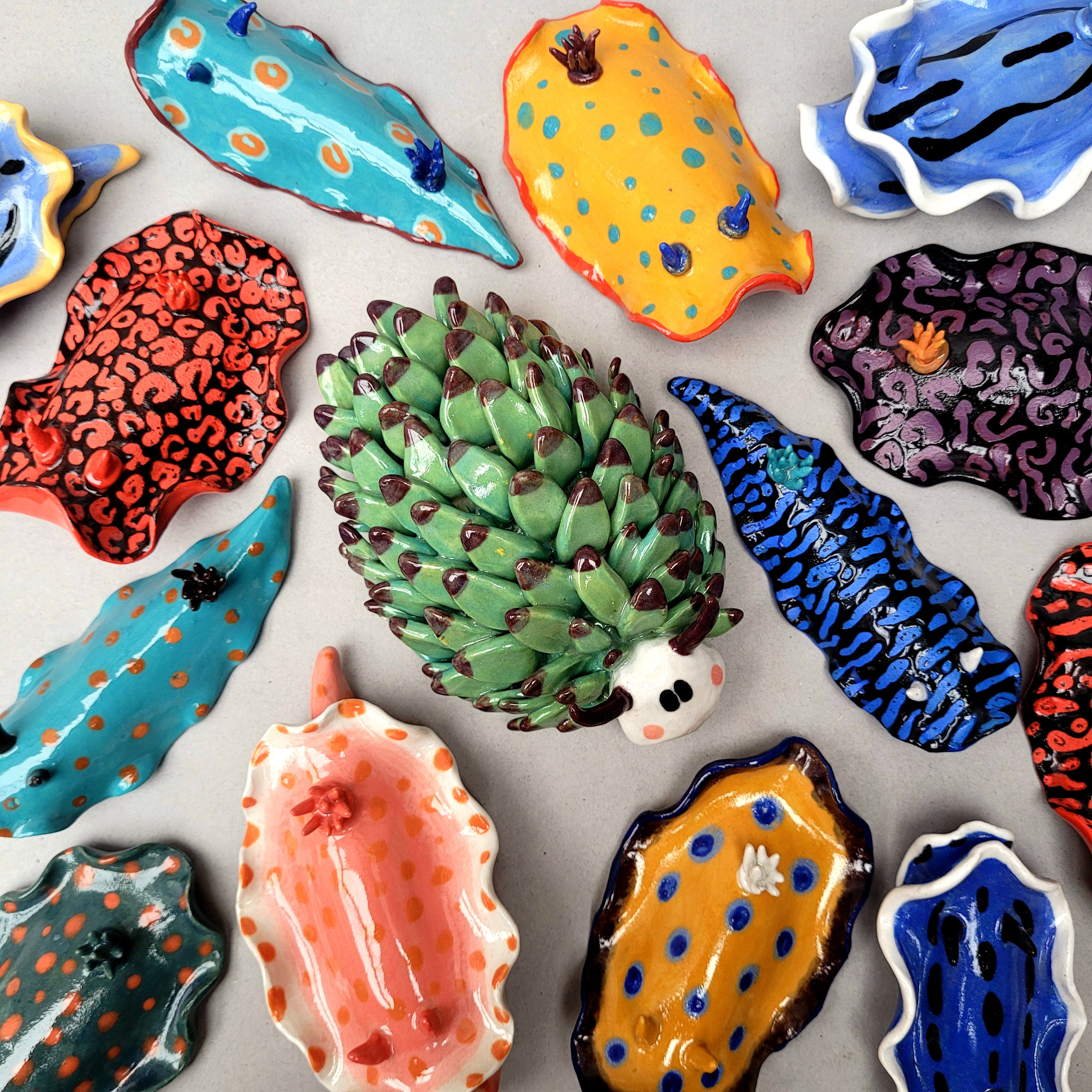 Nudibranchs, Sea Slugs and Flatworms Pre-Order 25% Deposit