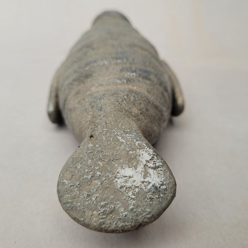 Thumbnail: Manatee Pre-Order