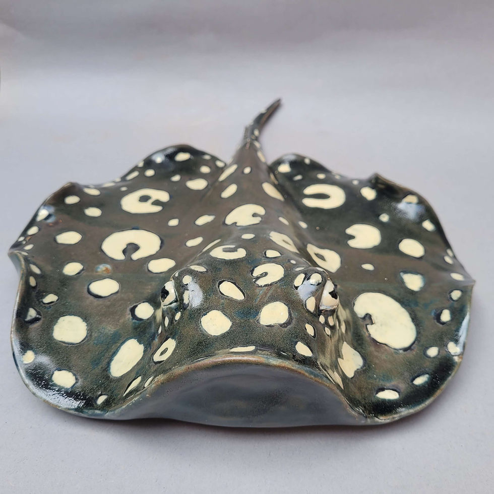 Thumbnail: Xingu River Ray Ceramic