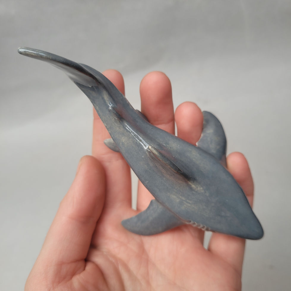 Thumbnail: Great White Shark Pre-order