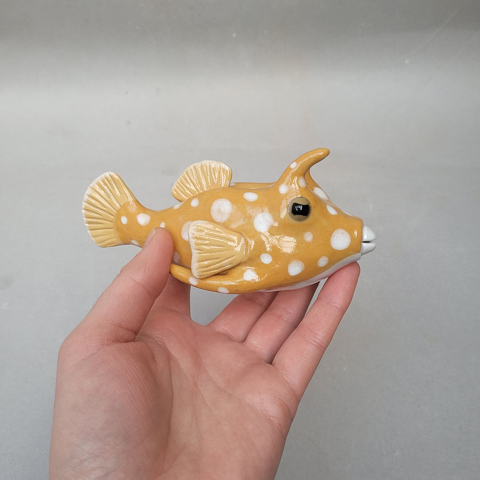Thumbnail: Longhorn Cowfish 75% pre-order (RESERVED FOR MICHAEL)