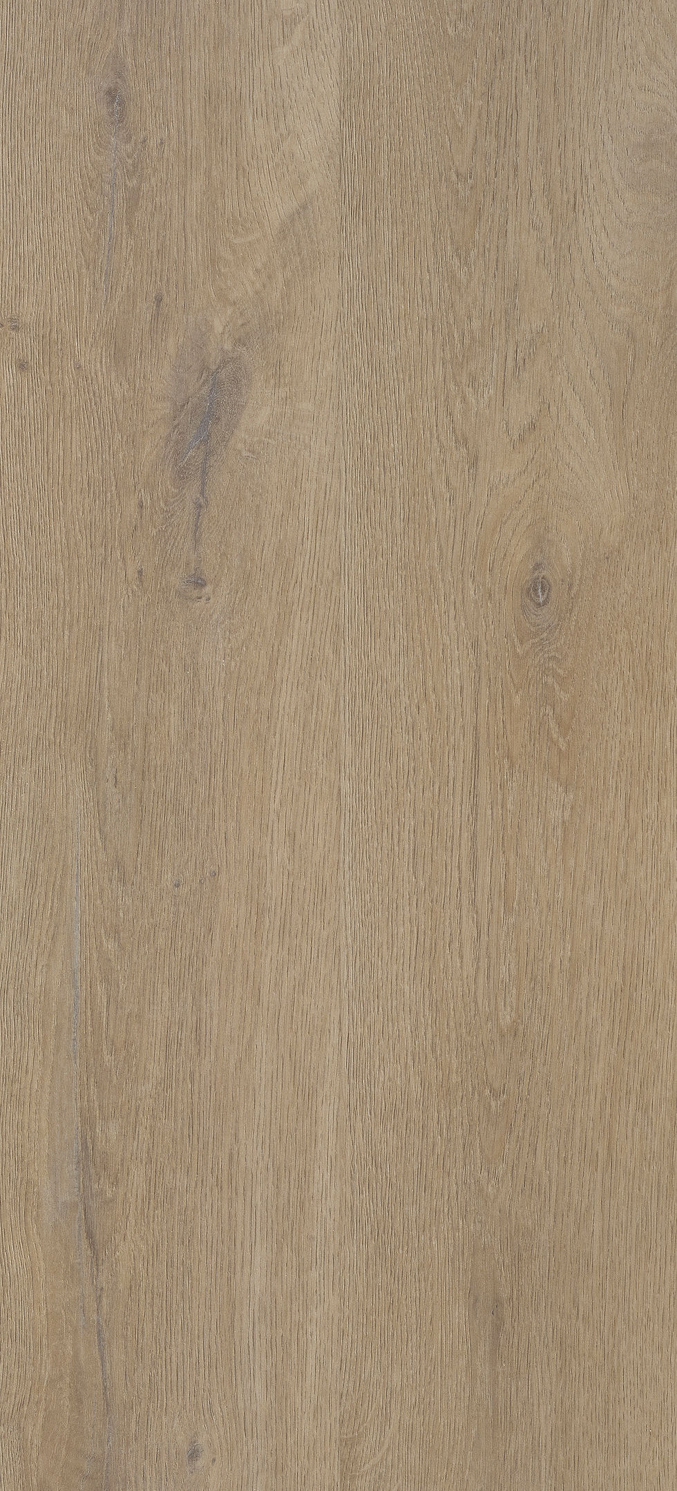 Thumbnail: Texas Oak H54