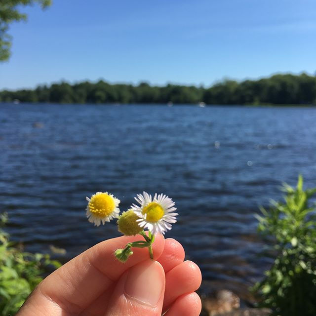#flowers #beach #bike #lake #sunglasses