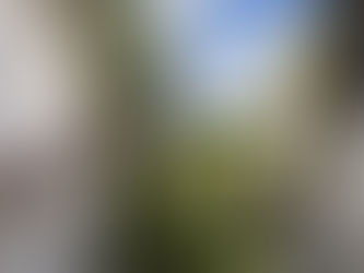 OUR FAVOURITE SPOTS IN CHARTREUSE