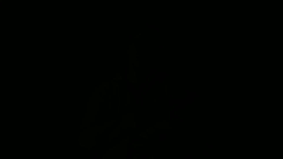 LAV_PETIZIONE_MASTER.mp4