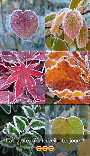 La nature m'émerveillera toujours !.jpg