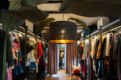 THE SUITE 2019