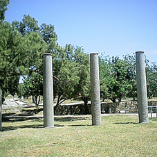 פרק 224 סע לאט ועל השד פלתיון